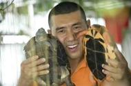 深圳男子：花530万买下被遗弃的乌龟，年入六千万不是梦!
