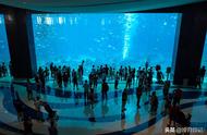三亚亚特兰蒂斯：环太平洋地区首家水族馆与水世界游玩指南！