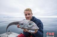 挪威男子深海垂钓，意外捕获神秘怪鱼